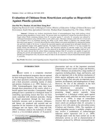 Evaluation of Chitinase from Metarhizium anisopliae as ... - Zsp.com.pk