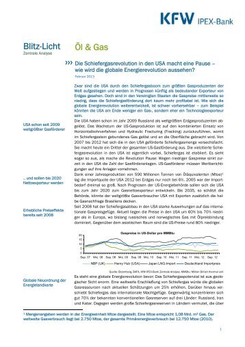 Blitz-Licht-Analyse (PDF, 51 KB) - KfW IPEX-Bank