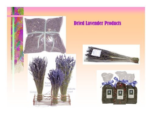 Lavender Marketing