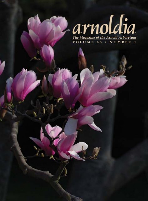 The Magazine of the Arnold Arboretum - Arnoldia - Harvard University