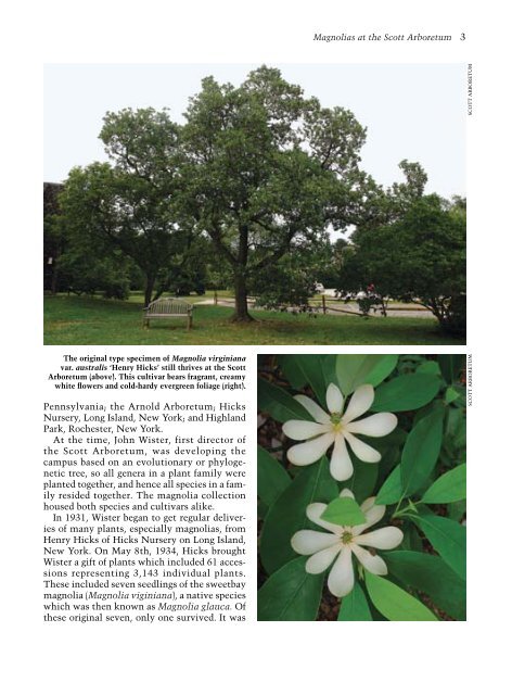 The Magazine of the Arnold Arboretum - Arnoldia - Harvard University