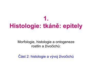 Histologie: tkáně: epitely - eAMOS