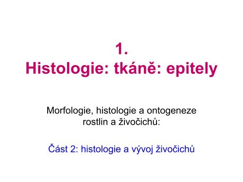 Histologie: tkáně: epitely - eAMOS