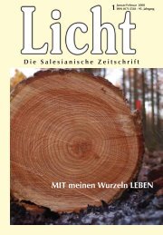 MIT meinen Wurzeln LEBEN - Franz Sales Verlag
