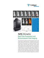 IVIS |Kinetic