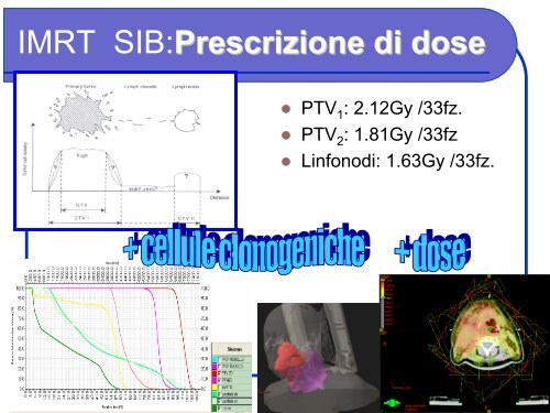 L'impiego di modelli radiobiologici in radioterapia con fasci ... - Enea