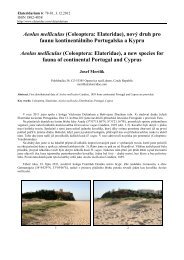 ÄlÃ¡nek [Full article] - Elateridae