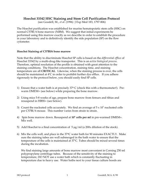 Hoechst 33342 HSC Staining and Stem Cell Purification Protocol