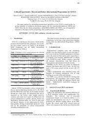 Recent and Future International Programmes in VENUS - Fuel Cycle ...