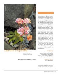 Lewisia cotyledon - Native Plants Journal
