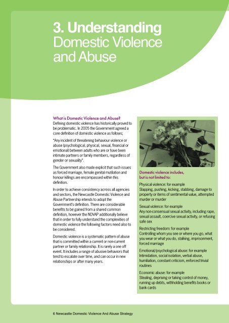Safe Newcastle Domestic Violence Strategy - Newcastle City Council