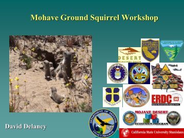 Mohave Ground Squirrel Workshop - Desert Managers Group