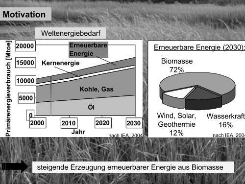 Thorsten Wüster - Lehrstuhl für Brennstoffzellen der RWTH Aachen