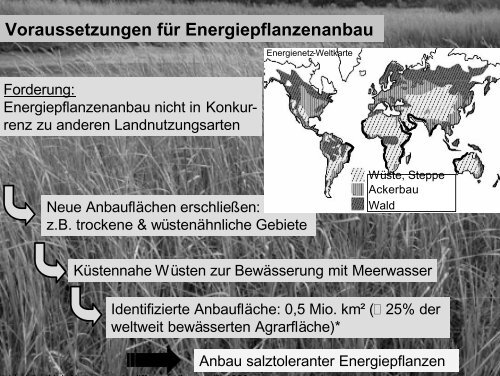 Thorsten Wüster - Lehrstuhl für Brennstoffzellen der RWTH Aachen