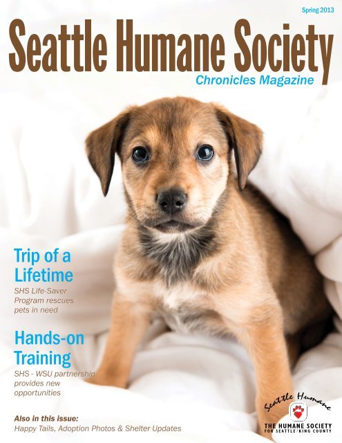 Hands-on Training Trip of a Lifetime - Seattle Humane Society