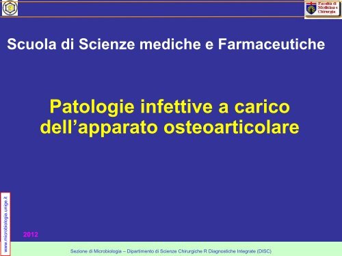 streptococchi - Sezione di Microbiologia