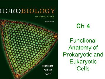 Functional Anatomy of Prokaryotic and Eukaryotic Cells