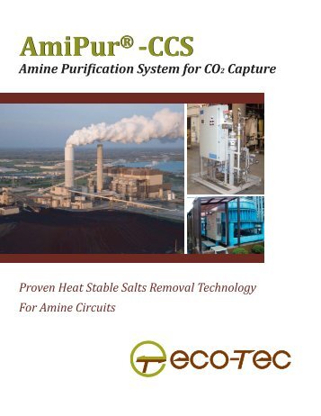 AmiPurÃ‚Â®-CCS - Eco-Tec