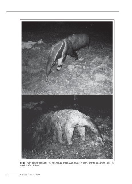 Edentata 6 - Anteater, Sloth & Armadillo Specialist Group