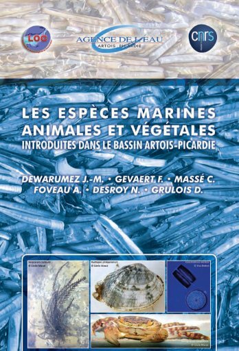 Les espÃ¨ces marines animales et vÃ©gÃ©tales dans le bassin Artois ...