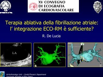 Terapia ablativa della fibrillazione atriale: l' integrazione ECO-RM ÃƒÂ¨ ...