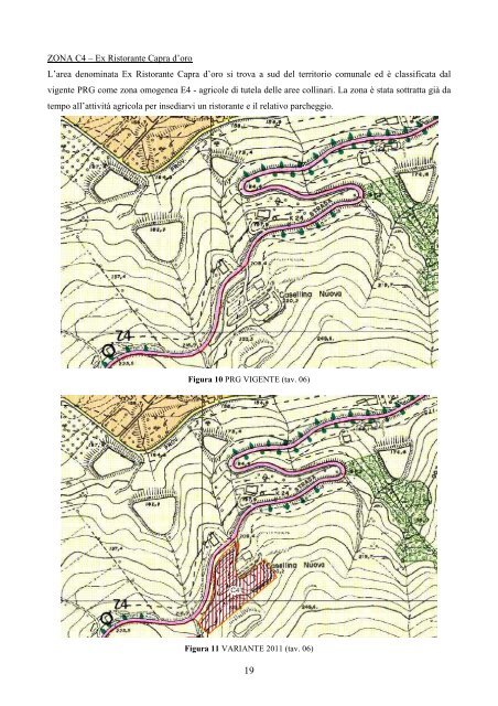 RELAZIONE ILLUSTRATIVA - Comune di Savignano sul Panaro