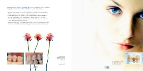 brochure professionale - La Struttura