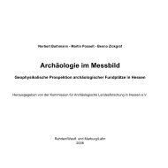 Inhaltsverzeichnis (.pdf) - Posselt & Zickgraf Prospektionen GbR