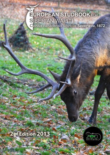 European Studbook for Siberian Wapiti Cervus ... - Zoo Ostrava