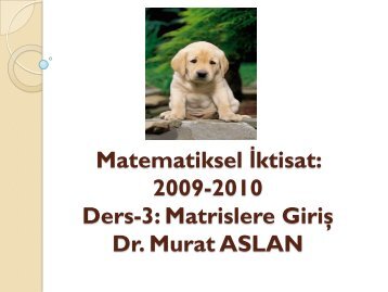 2-a) Matrisler