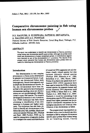 Comparative chromosome painting in fish using human sex ...