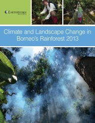 Climate and Landscape Change in Borneo's Rainforest 2013
