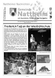 56. Jahrgang N um m er 43 Freitag, 2 5 . O k to b e r 2 0 1 3 - Nattheim