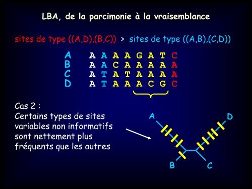 La mÃ©thode de Maximum Likelihood