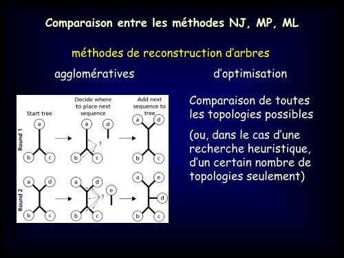 La mÃ©thode de Maximum Likelihood