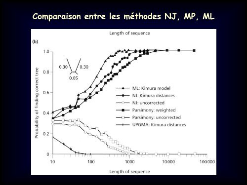 La mÃ©thode de Maximum Likelihood