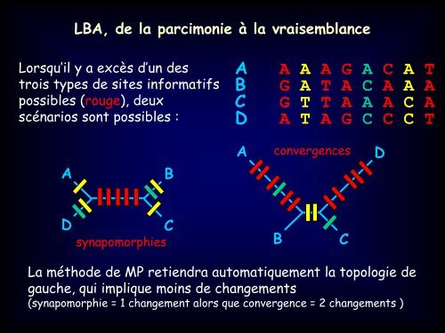 La mÃ©thode de Maximum Likelihood