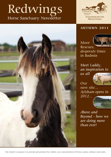 Autumn Newsletter 2011:Spring Newsletter 2010 - Redwings