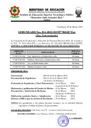 convocatoria docente y jerarquicos.pdf