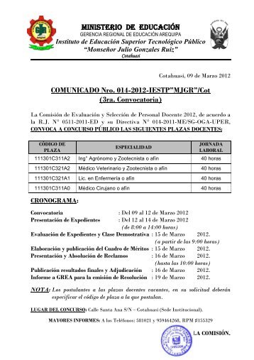 convocatoria docente y jerarquicos.pdf