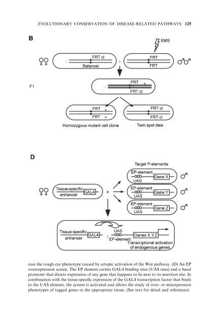 Model Organisms in Drug Discovery