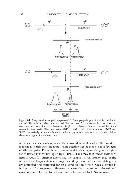 Model Organisms in Drug Discovery