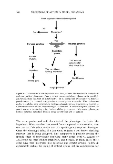 Model Organisms in Drug Discovery