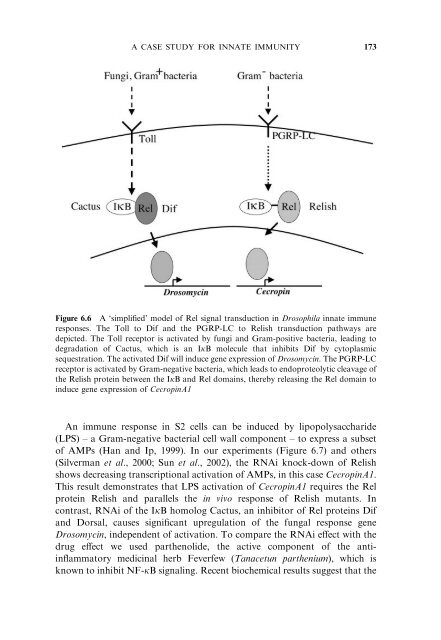 Model Organisms in Drug Discovery