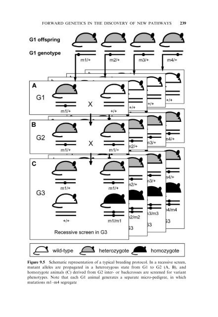 Model Organisms in Drug Discovery