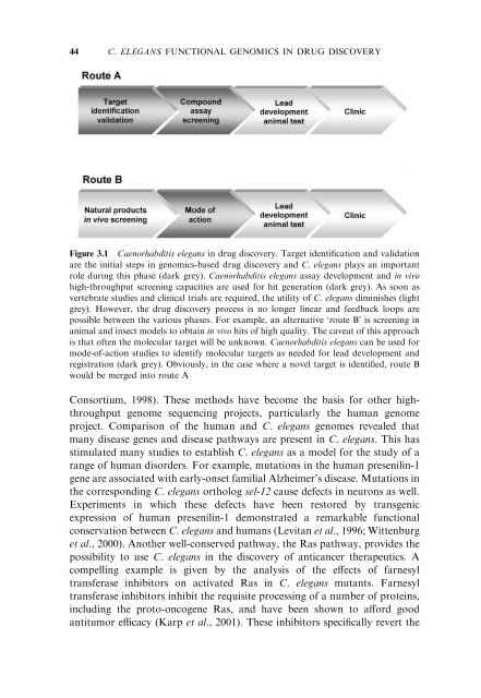 Model Organisms in Drug Discovery