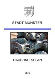 Produktplan - Stadt Munster