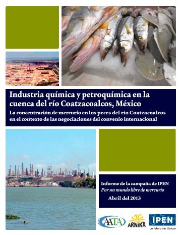 Industria quÃ­mica y petroquÃ­mica en la cuenca del rÃ­o Coatzacoalcos ...