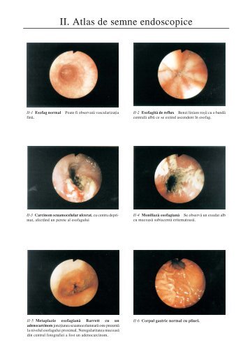 atlas color2.p65 - Cursuri Medicina