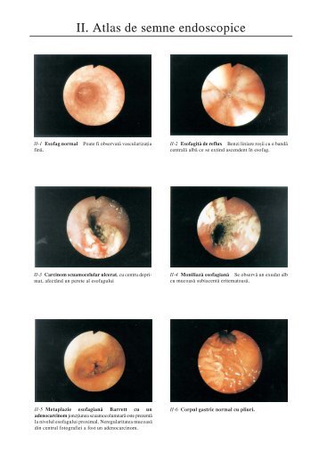 atlas color2.p65 - Cursuri Medicina